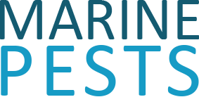 Marine Pests